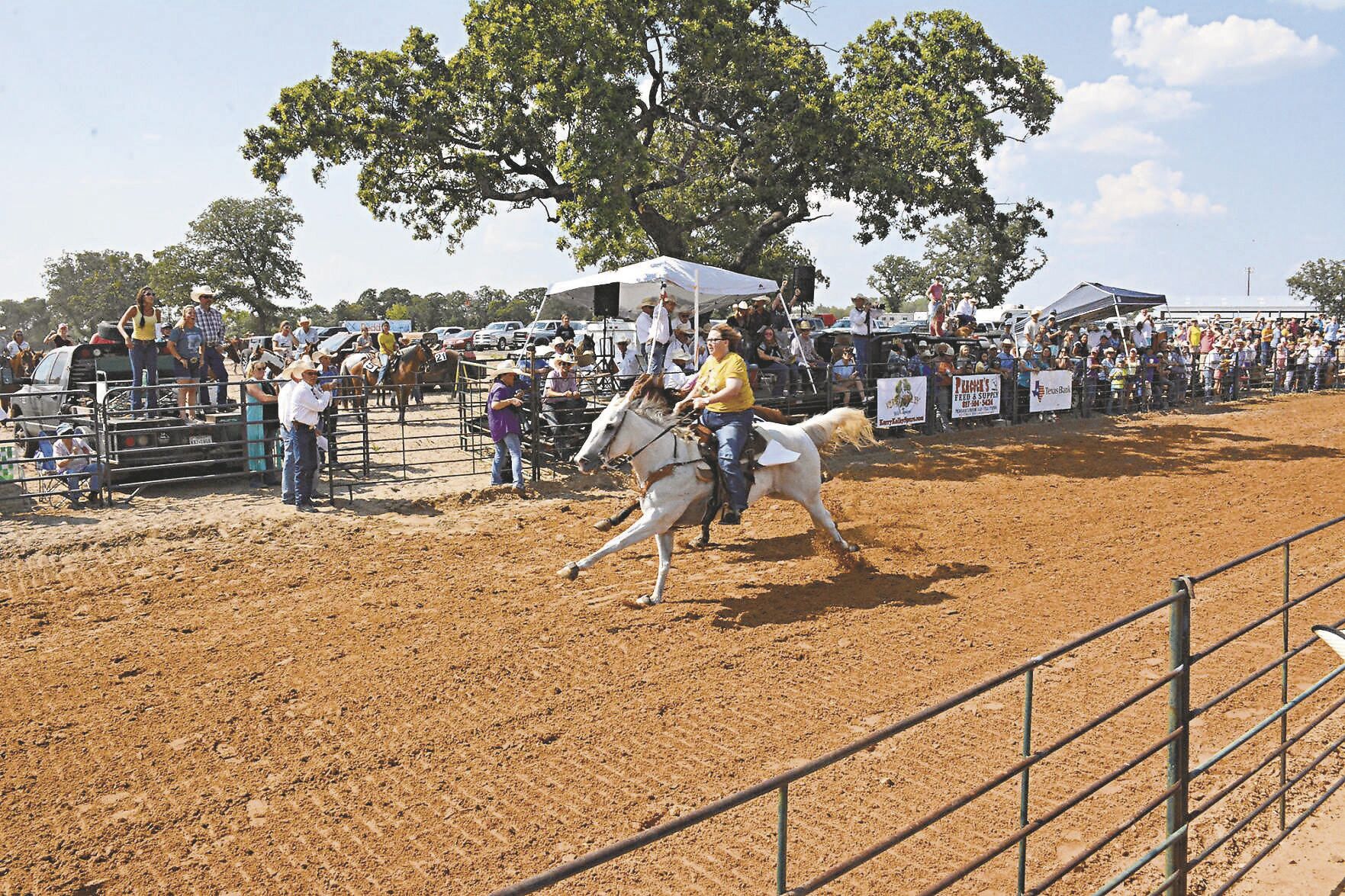 Matched horse race